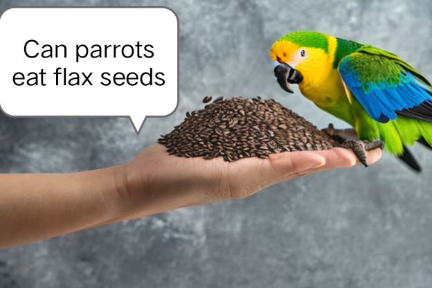 Can parrots eat flax seeds