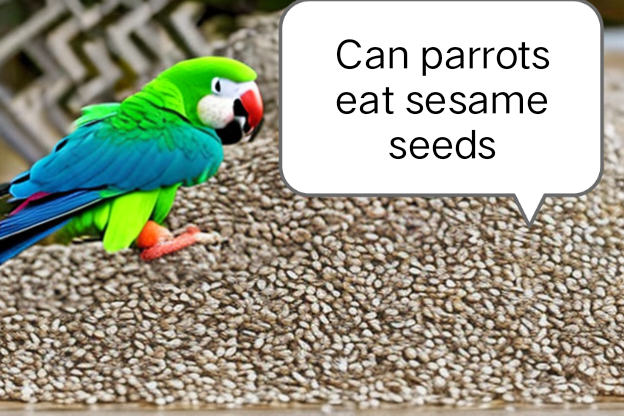 Can parrots eat sesame seeds