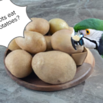 Can parrots eat boiled potatoes?